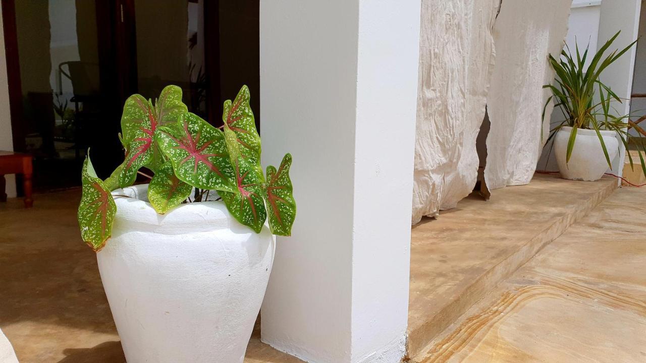 Moyo Apartment Làng Làng Pwani Mchangani Ngoại thất bức ảnh